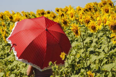 Спека чи зливи: синоптики розповіли, чого чекати від погоди у червні