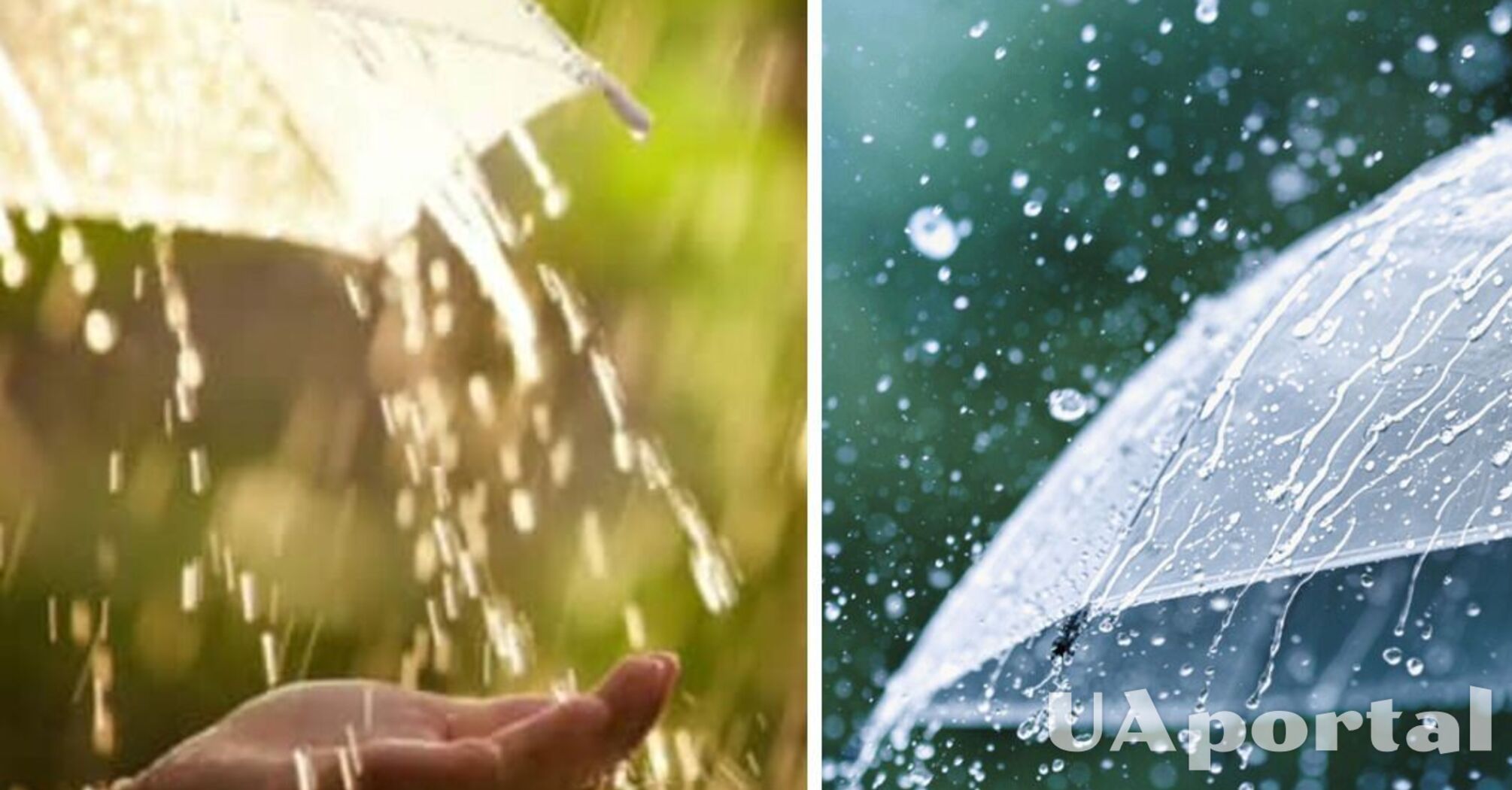 Украину затянет дождями: прогноз погоды на 27 мая