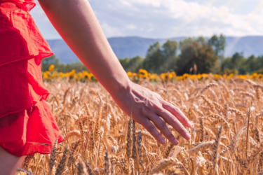 Погодні примхи червня: метеорологи застерігають українських аграріїв про нову кліматичну загрозу