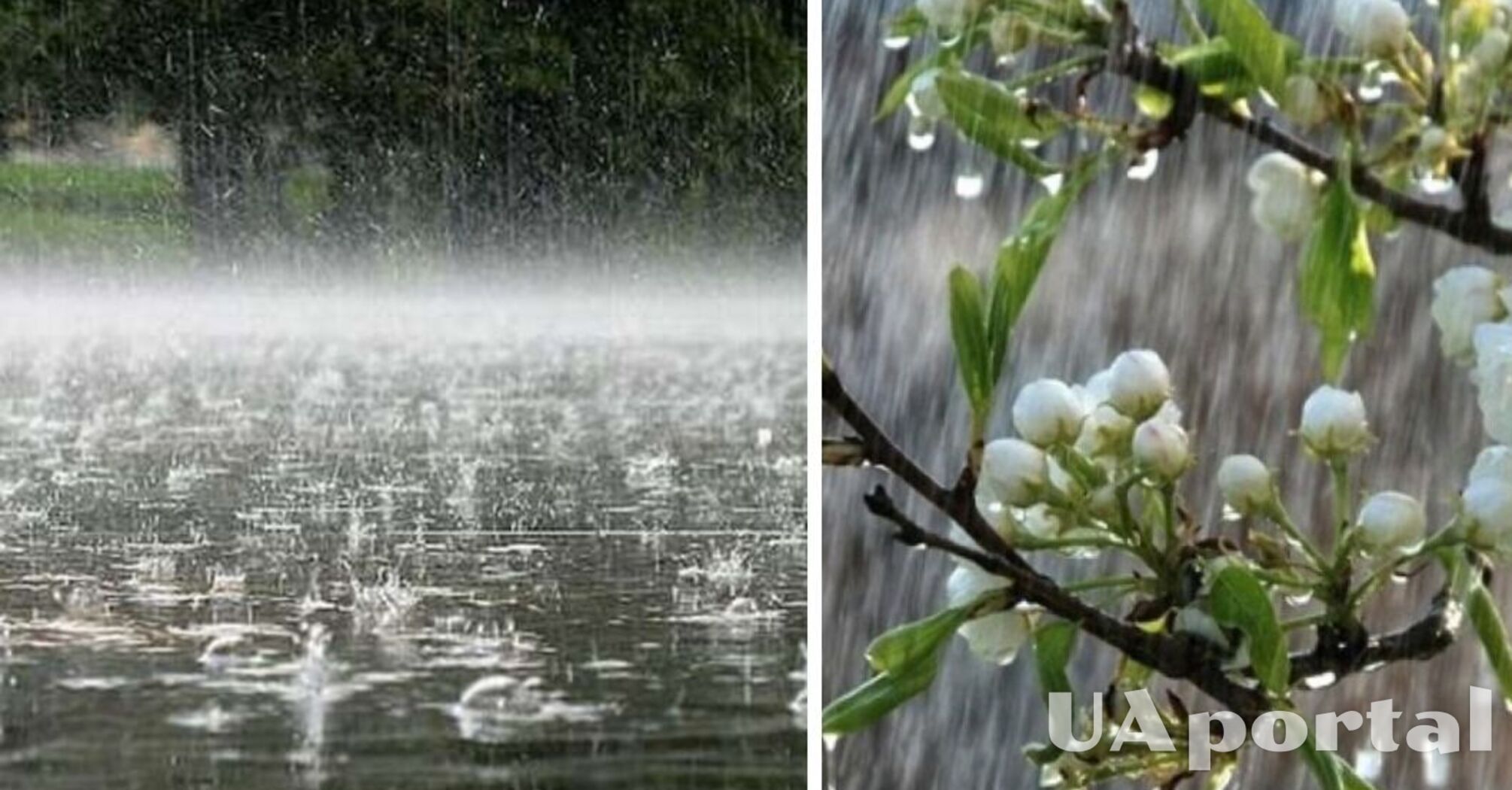 В большинстве областей Украины ожидаются сильные дожди: прогноз погоды на 28 мая