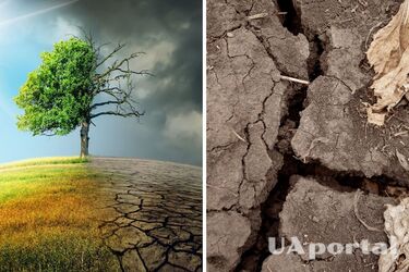 Чем грозит планете глобальное потепление: ученые пришли к неутешительным выводам