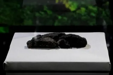 Такий їли 5000 років тому: вченим вдалось відтворити древній рецепт хліба