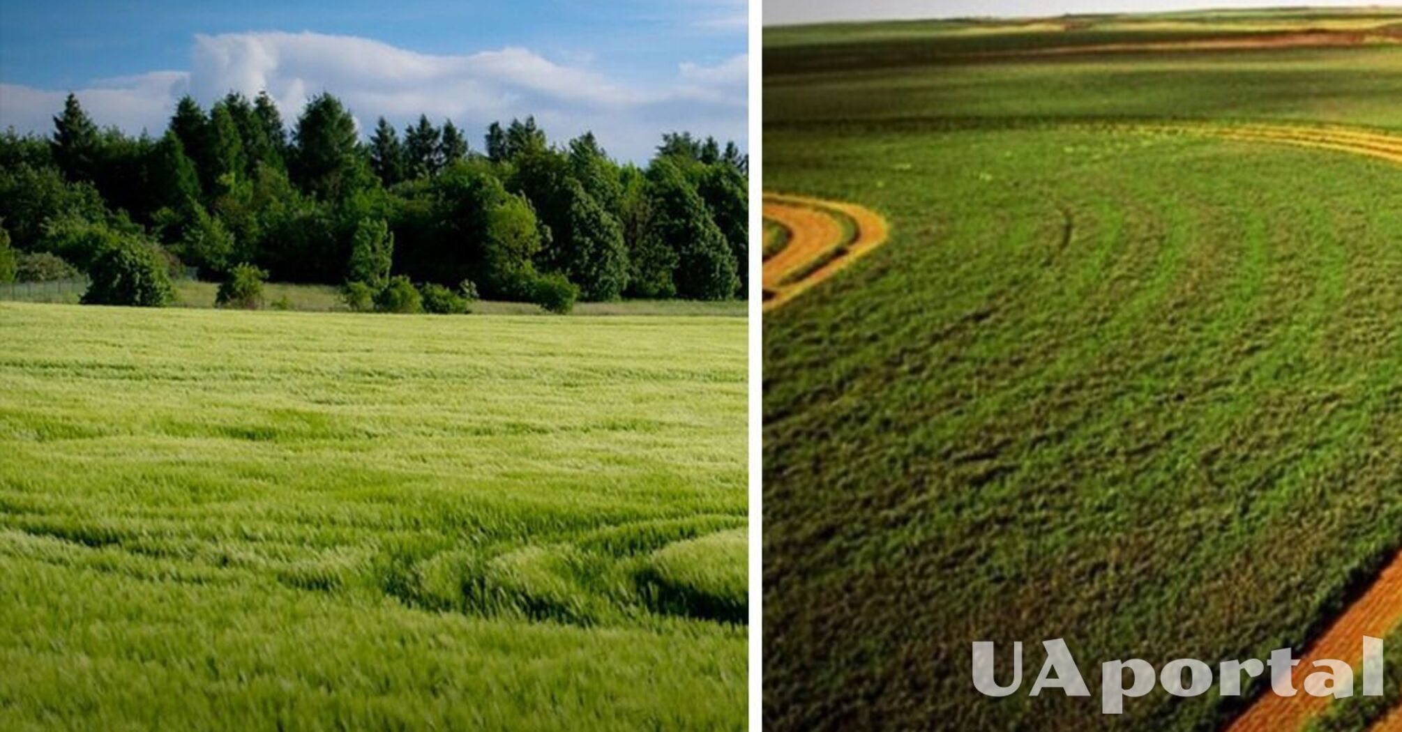 Налог на землю в Украине: как вычислить размер ставки