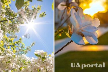 Локальные дожди и до 26 градусов тепла: прогноз погоды в Украине на 31 мая