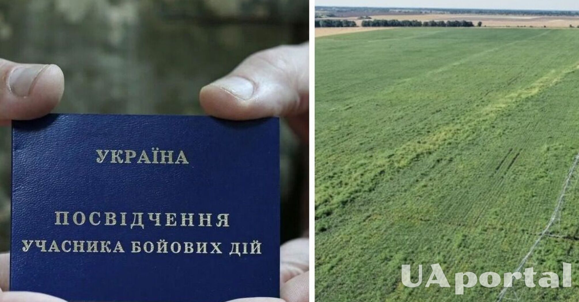 Кто из военных может потерять право на земельный участок в 2025 году