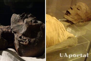 Ученые раскрыли секрет уникальной мумии австрийского капеллана в возрасте 300 лет: чем интересна