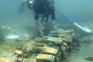 Жовта цегла під водою: підводна дорога біля узбережжя Коста-Рики привела дайверів до неймовірного відкриття