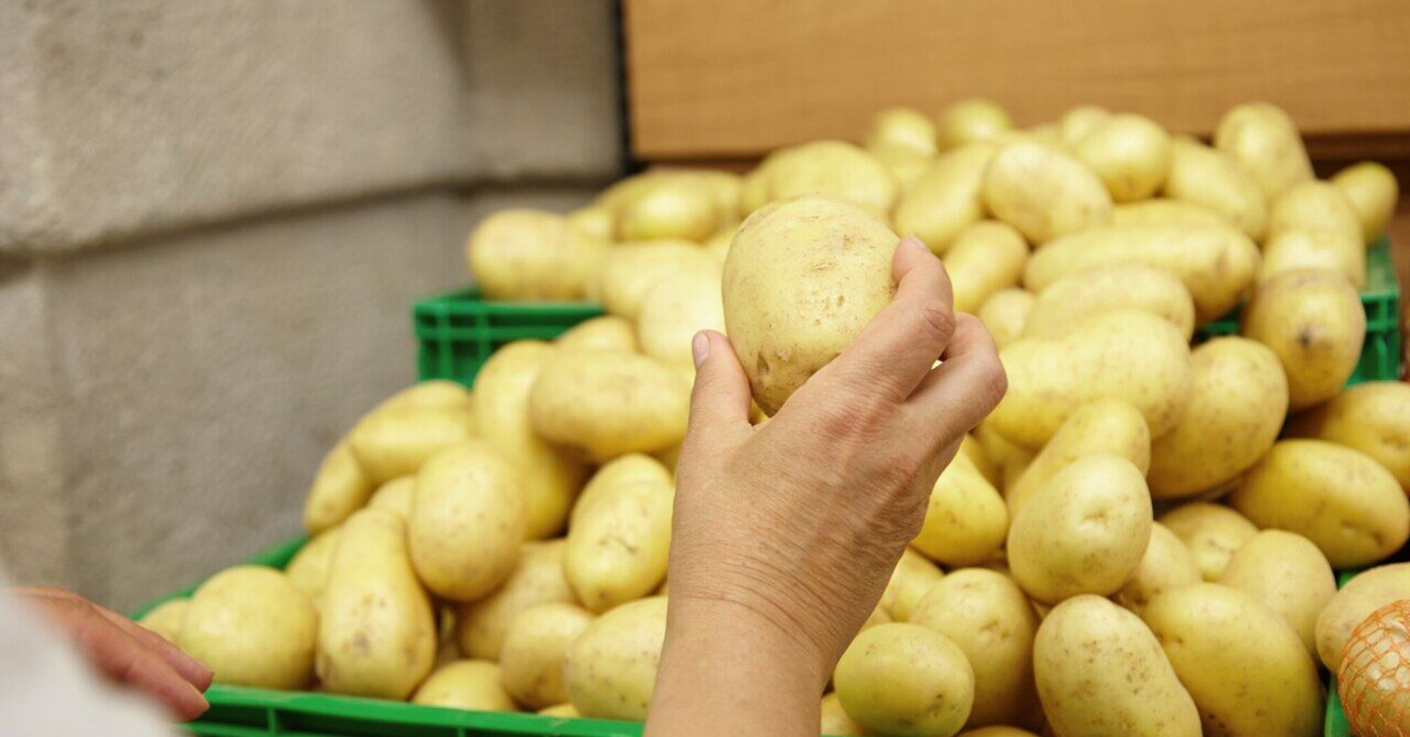 В Украине стартовали продажи популярного весеннего овоща: почему цены в несколько раз выше импорта