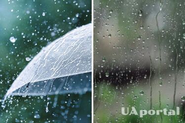 Дождь и до +17: прогноз погоды в Украине на 10 мая