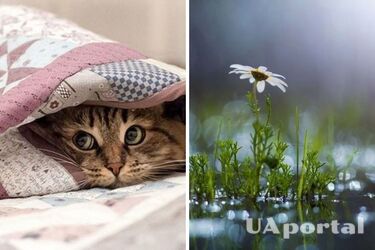 На Україну насувається похолодання: прогноз погоди на 13 червня