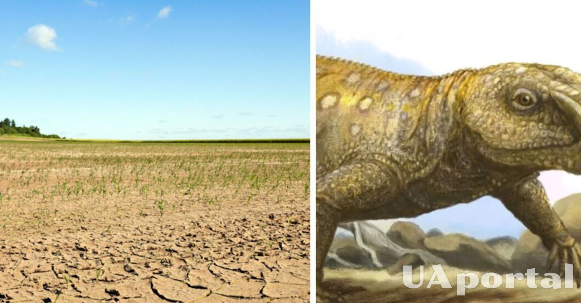 Вчені дізнались, як древні рептилії пережили наймасштабнішу посуху на Землі