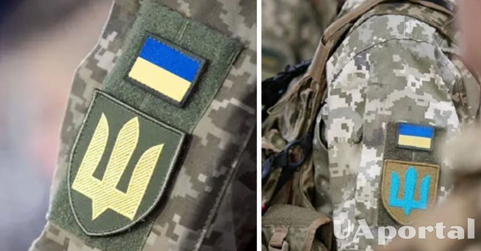 Мобилизация ВПЛ: что нужно знать переселенцам