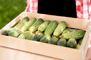 В Україні істотно подешевшали огірки: скільки тепер коштують