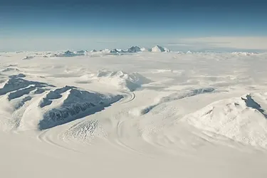 Подо льдом Антарктиды нашли древний мир: на что наткнулись ученые на глубине 1,6 км