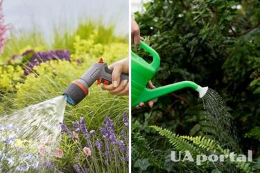 Можете попрощатись з врожаєм: якою водою категорично заборонено поливати город