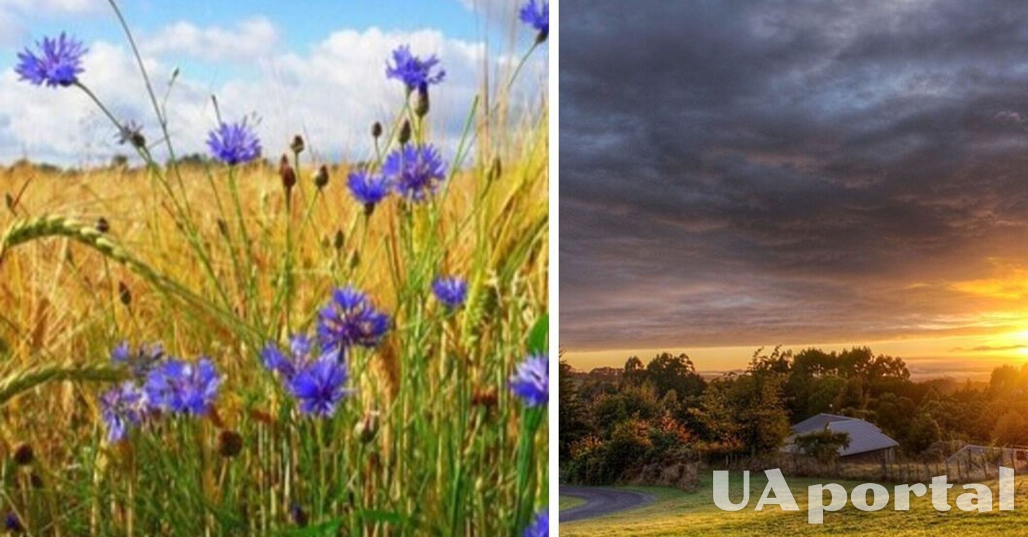 Возможны кратковременные дожди с грозами: прогноз погоды в Украине на 20 июня