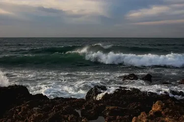 Климатическая опасность: эксперт рассказала, какие регионы Украины могут уйти под воду