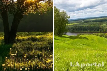 Хмарність та невеликі дощі: прогноз погоди в Україні на 21 червня