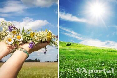 Летняя жара и дожди на севере и в центре: прогноз погоды на 24 июня