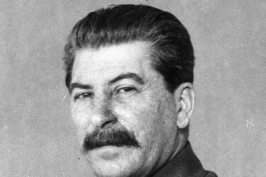 Паранойя без сна 5 суток подряд: почему Сталин боялся засыпать