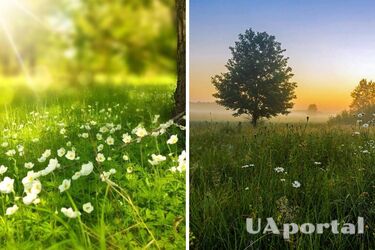 Справжнє літнє тепло та мінімум дощів: прогноз погоди в Україні на 25 червня