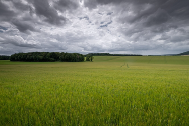 Будет греметь и заливать: где в Украине уже в ближайшие дни будет настоящая непогода