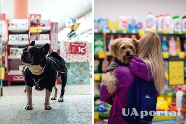 Чи мають право українці зайти в магазин з твариною і за що можуть оштрафувати