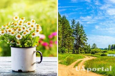 Переменная облачность и кратковременные дожди: прогноз погоды в Украине на 28 июня