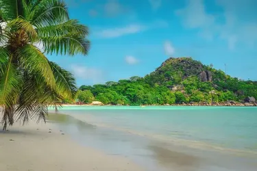 Топ-6 отелей на Сейшелах: райские уголки в сердце Индийского океана, которые стоит посетить для отпуска