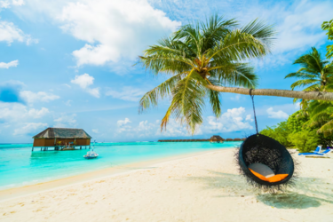 Лучшие отели Карибского бассейна для незабываемого и аутентичного отпуска, полного приключений и релакса