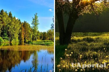 Преимущественно сухо и до 30 градусов тепла: прогноз погоды в Украине на 1 июля