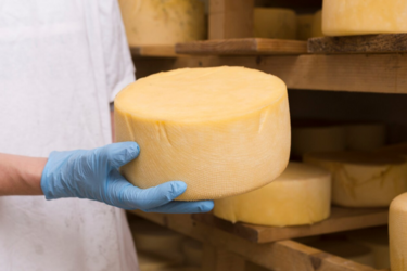 Украинский сыр уступает место: импорт из Европы вырос на 30%