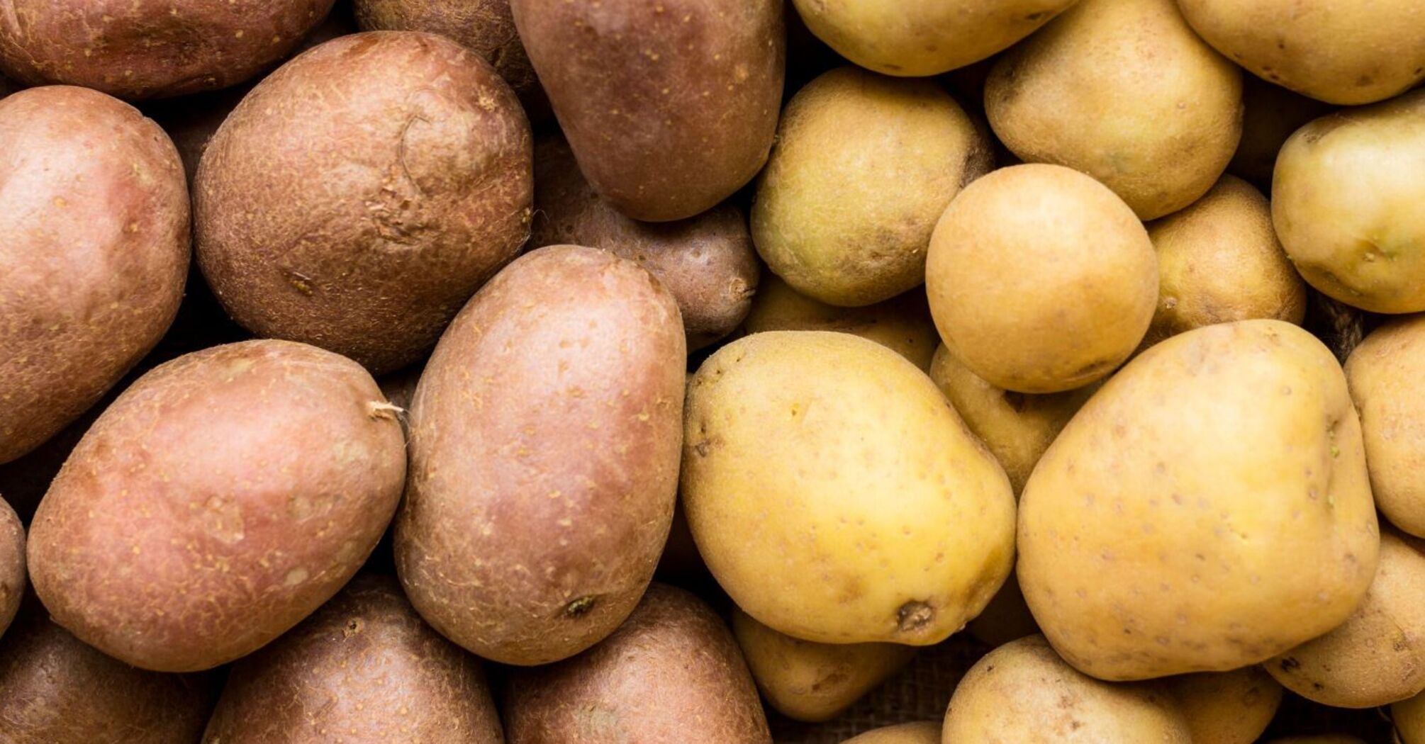 В Украине ощутимо выросли цены на популярный продукт: сколько теперь стоит