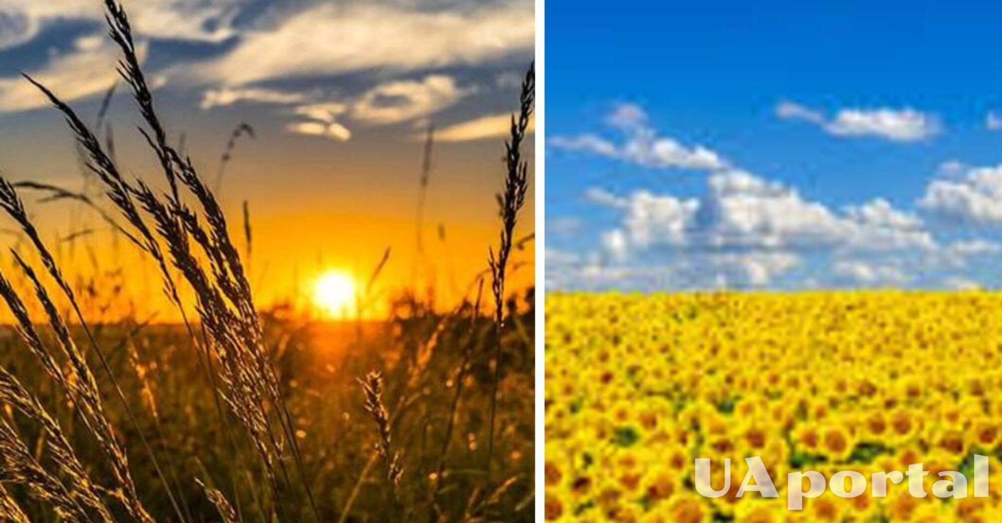 Солнечно, однако прохладнее: прогноз погоды в Украине на 10 июня