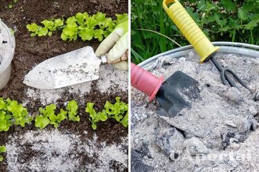 Как использовать пепел в саду и огороде в качестве удобрения