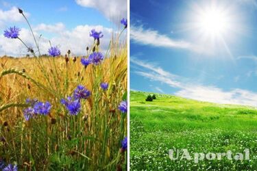 Очікуються локальні дощі з грозами: прогноз погоди в Україні на 2 липня