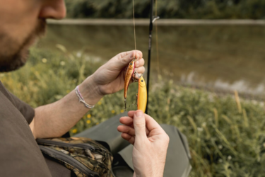 Що зміниться для рибалок з 1 липня: дозволені види риби та нові правила