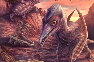 Жили 209 миллионов лет назад: американские ученые открыли новый вид птерозавров (фото)