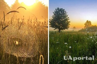 Облачно с прояснениями и до 38 градусов тепла: прогноз погоды в Украине на 11 июля