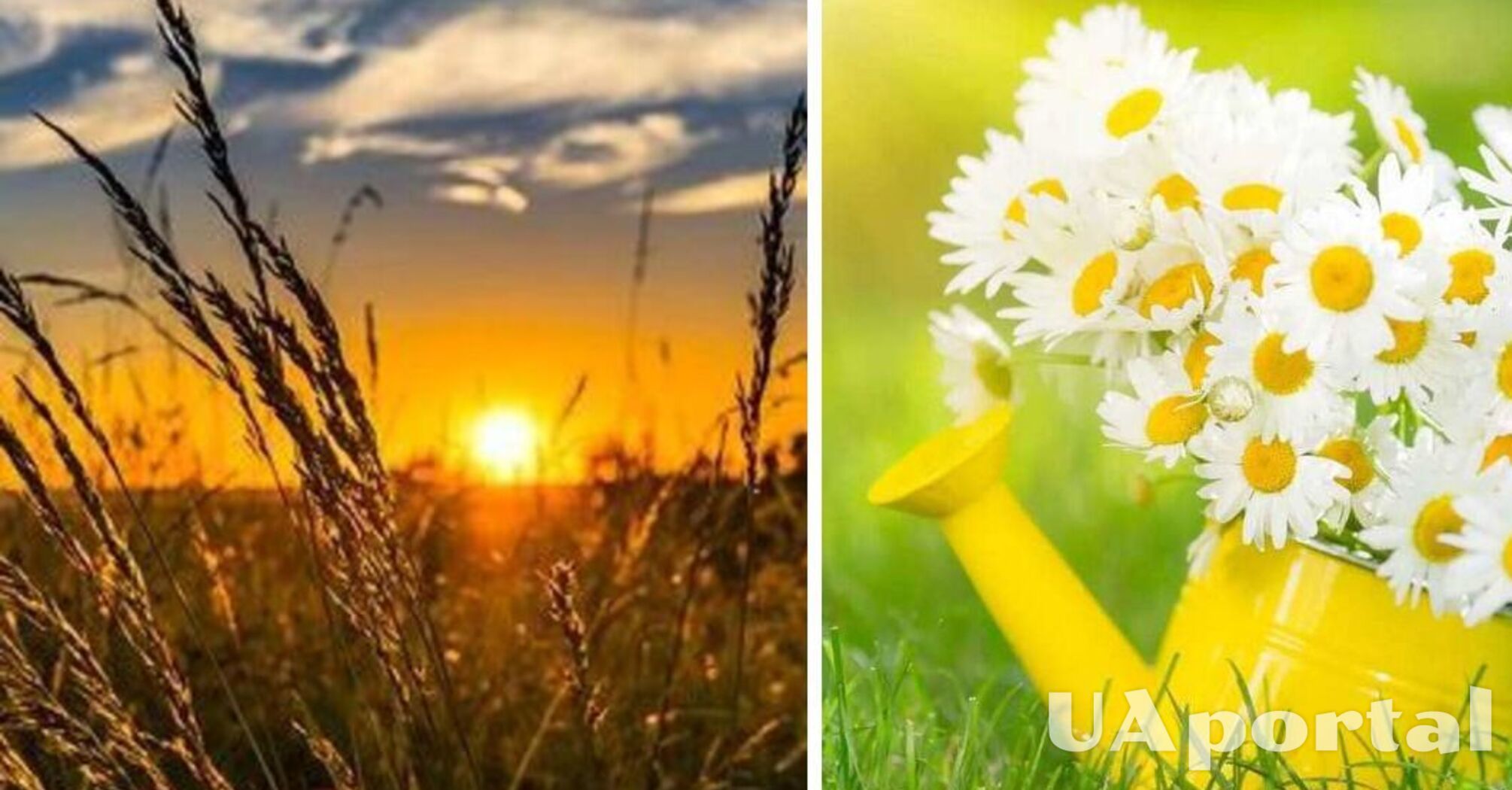 Облачно с прояснениями и до 35 градусов тепла: прогноз погоды в Украине на 12 июля