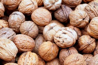 Українців почали штрафувати за горіхи: де їхній збір заборонений