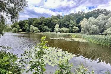 Прогноз погоди на неділю: в Україні очікується стрибок спеки