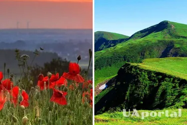 Сухо та сонячно: прогноз погоди в Україні на 3 липня