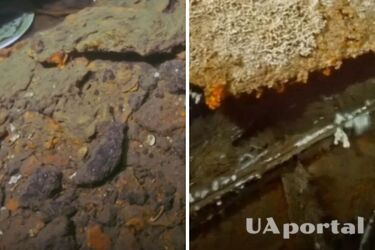 Біля берегів Британії виявили затонулий бойовий корабель часів Першої світової: фото