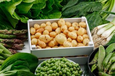 В Україні різко змінились ціни на найпопулярніший овоч: скільки тепер коштує кілограм