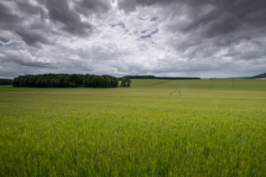В одних - дощі та грози, в інших - спека до +38: синоптики попередили про погодний контраст в Україні до кінця тижня
