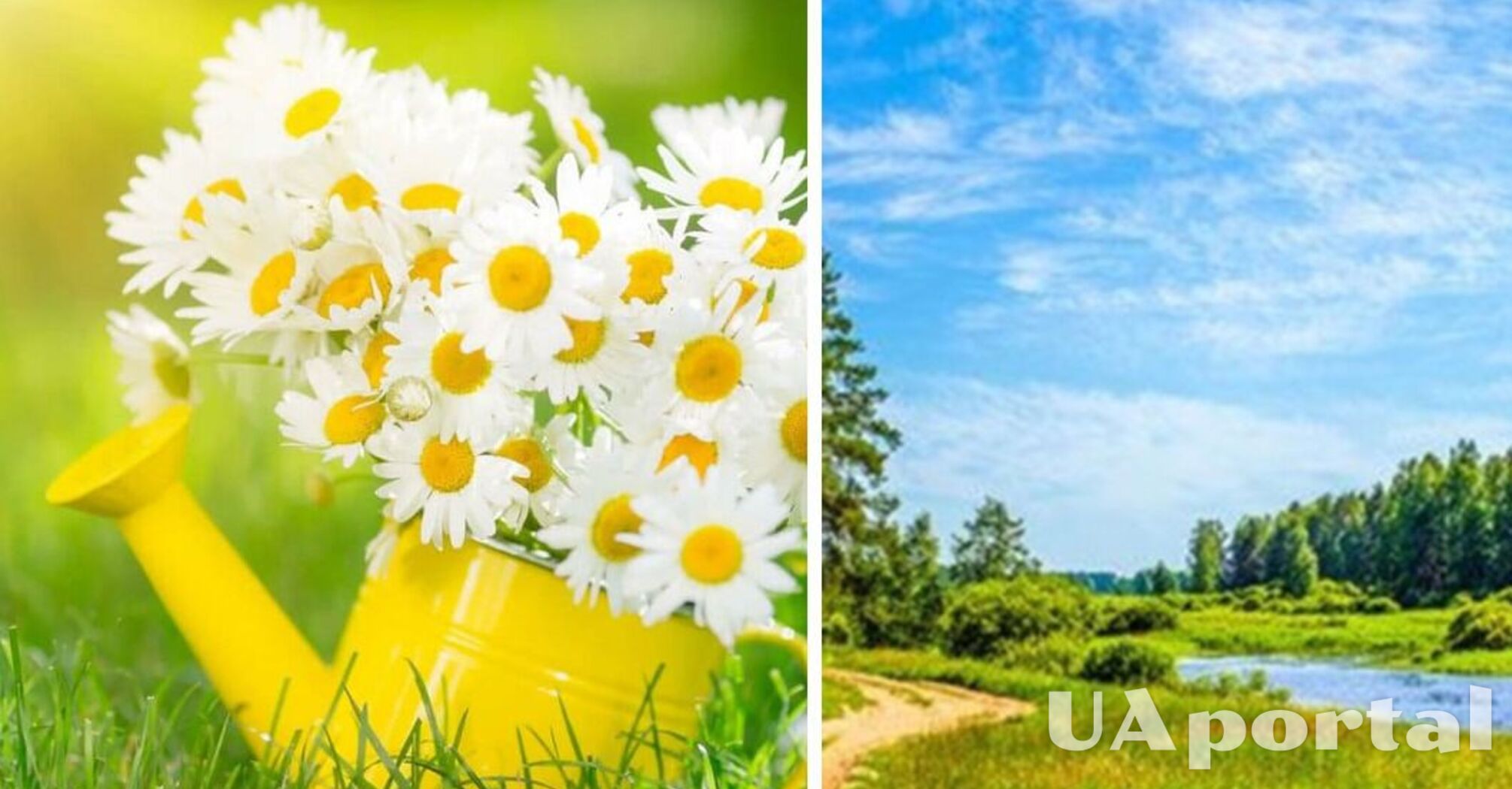 Короткочасні дощі та грозі і до 35 градусів тепла: прогноз погоди в Україні на 25 липня 