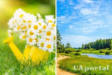 Короткочасні дощі та грозі і до 35 градусів тепла: прогноз погоди в Україні на 25 липня