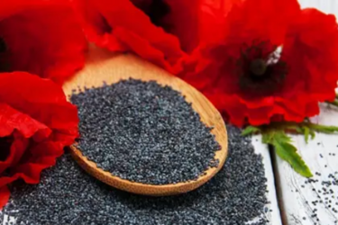 Що варто знати про макове насіння: користь та потенційні ризики