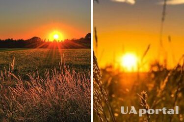 Короткочасні дощі та спека: прогноз погоди в Україні на 26 липня